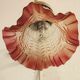 Bronze and glass wall lamp. Spain, 1940s.