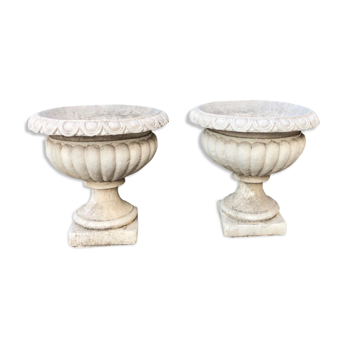 Pair of medicis and boxvales