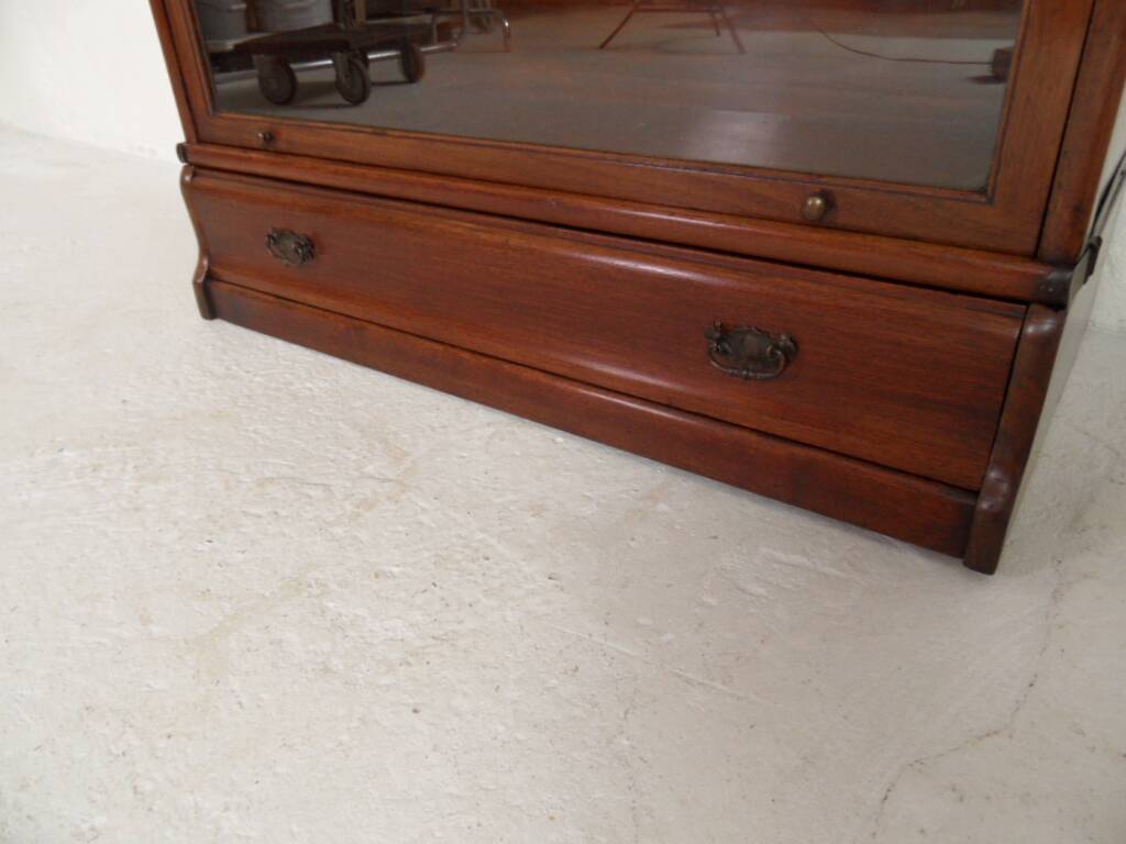 Antique Globe Wernicke bookcase