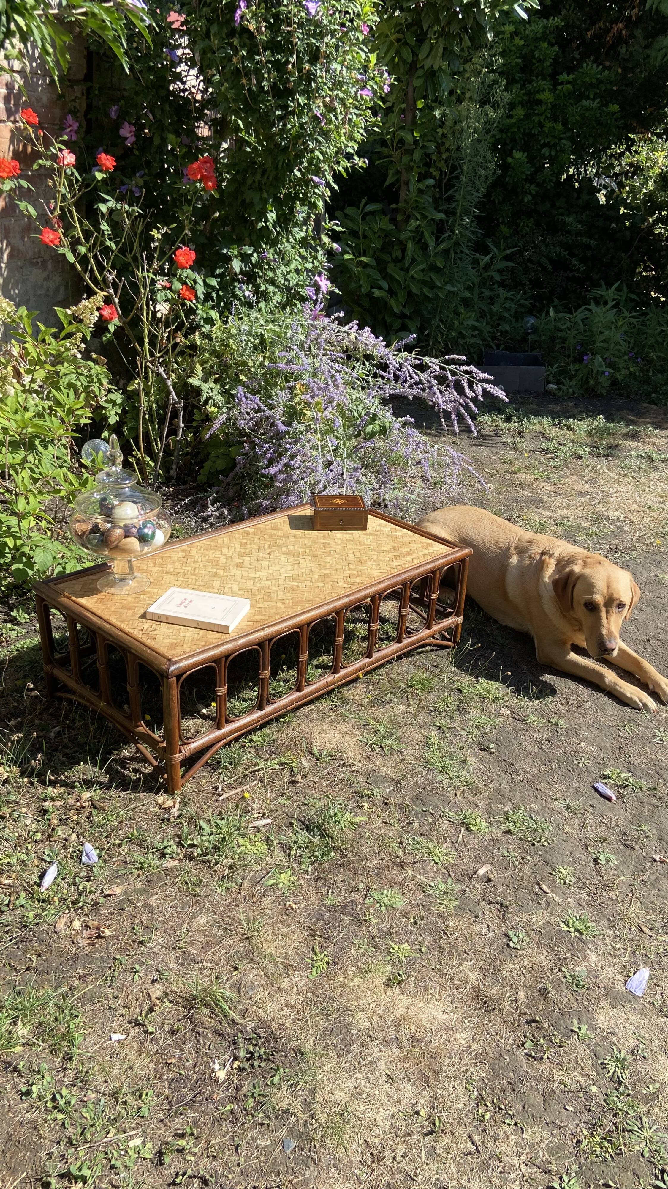 Vintage rattan coffee table