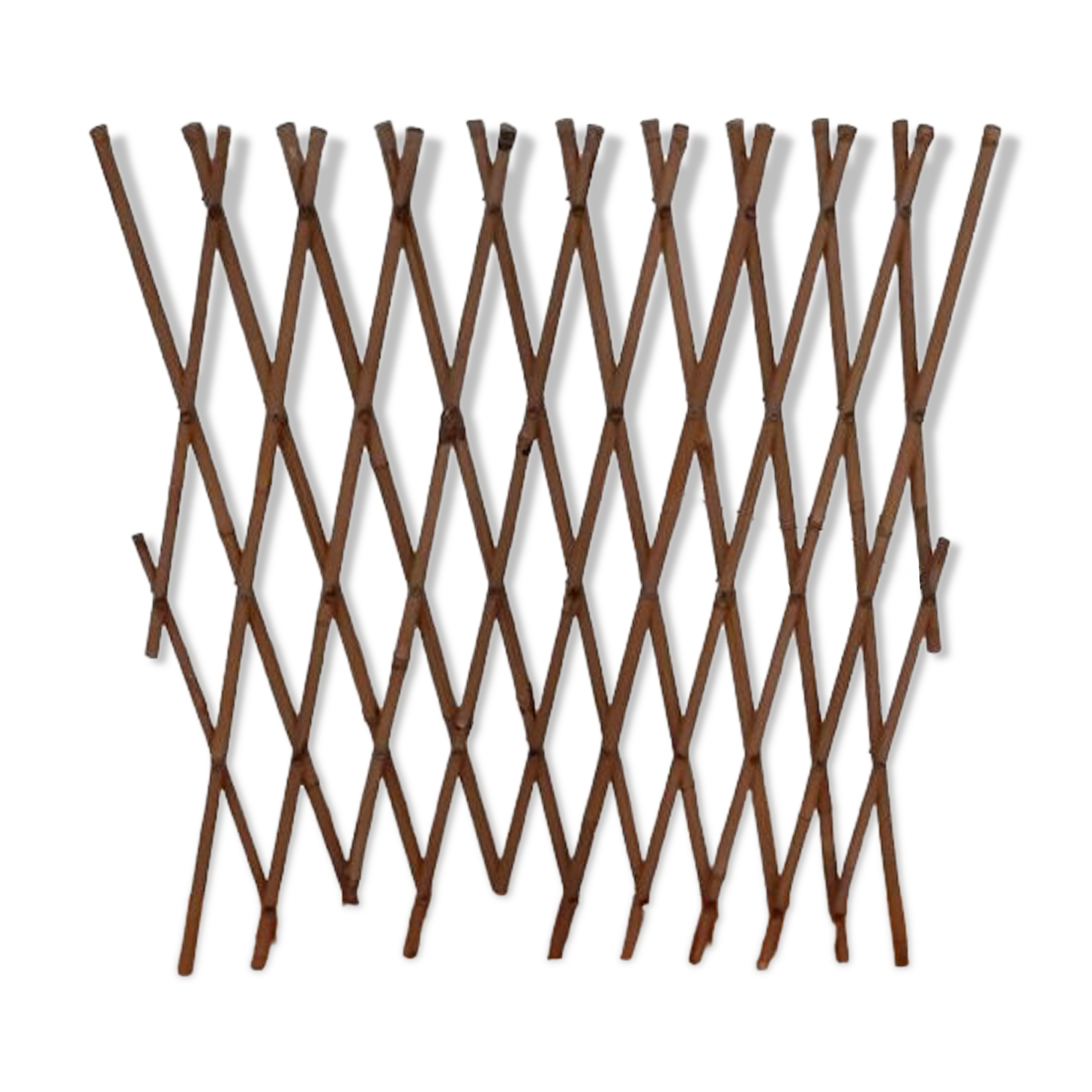 Claustra trellis vintage bamboo braces