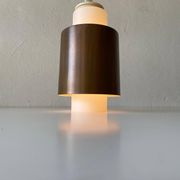 Opal Glass and Copper Plated Flush Mount Light by Staff, 1960s, Germany