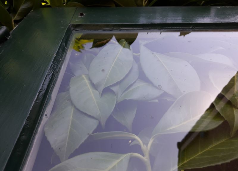 door 80x213cm Old oak glazed landing