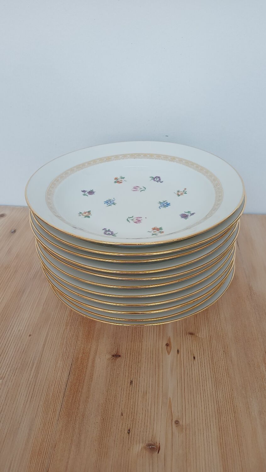 Hollow porcelain plates
