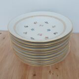 Hollow porcelain plates