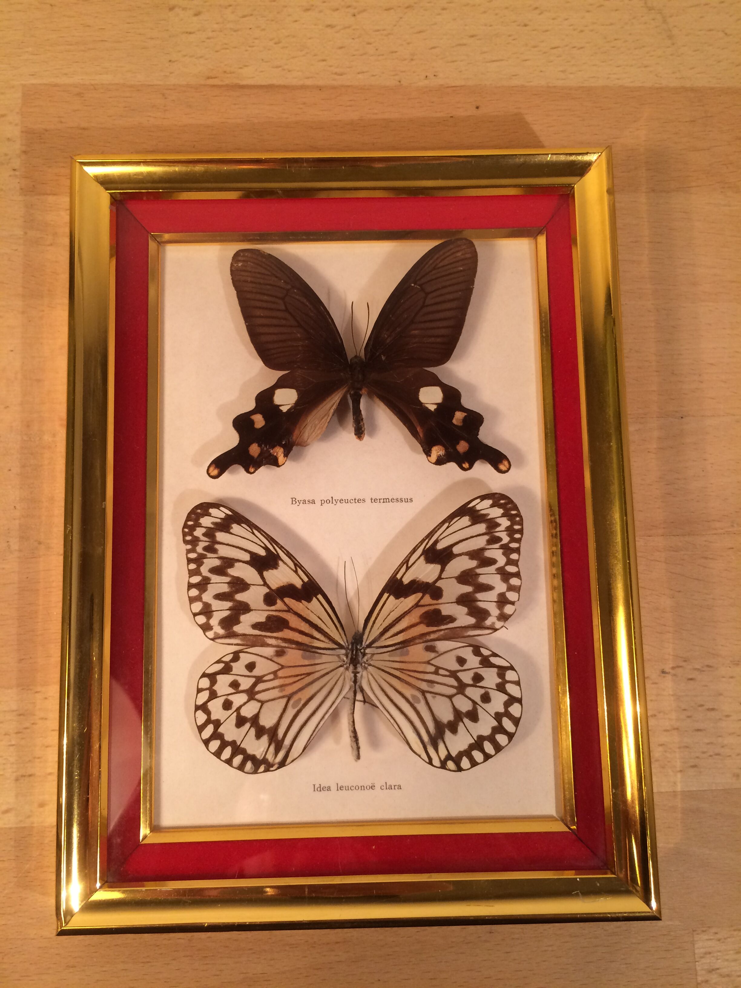 Pair of naturalized butterfly frames