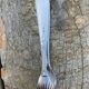 Sugar tongs