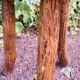 Tabouret tripode en bois massif
