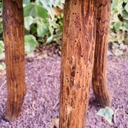 Tabouret tripode en bois massif
