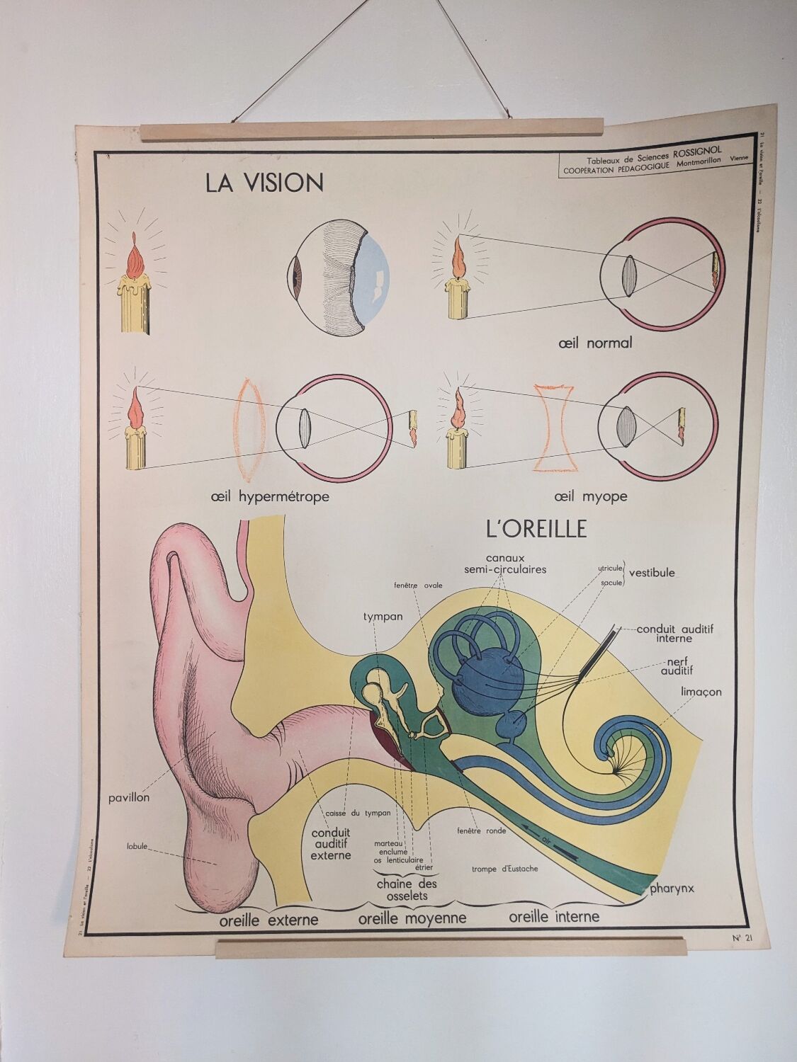 Rossignol alcoholism school poster