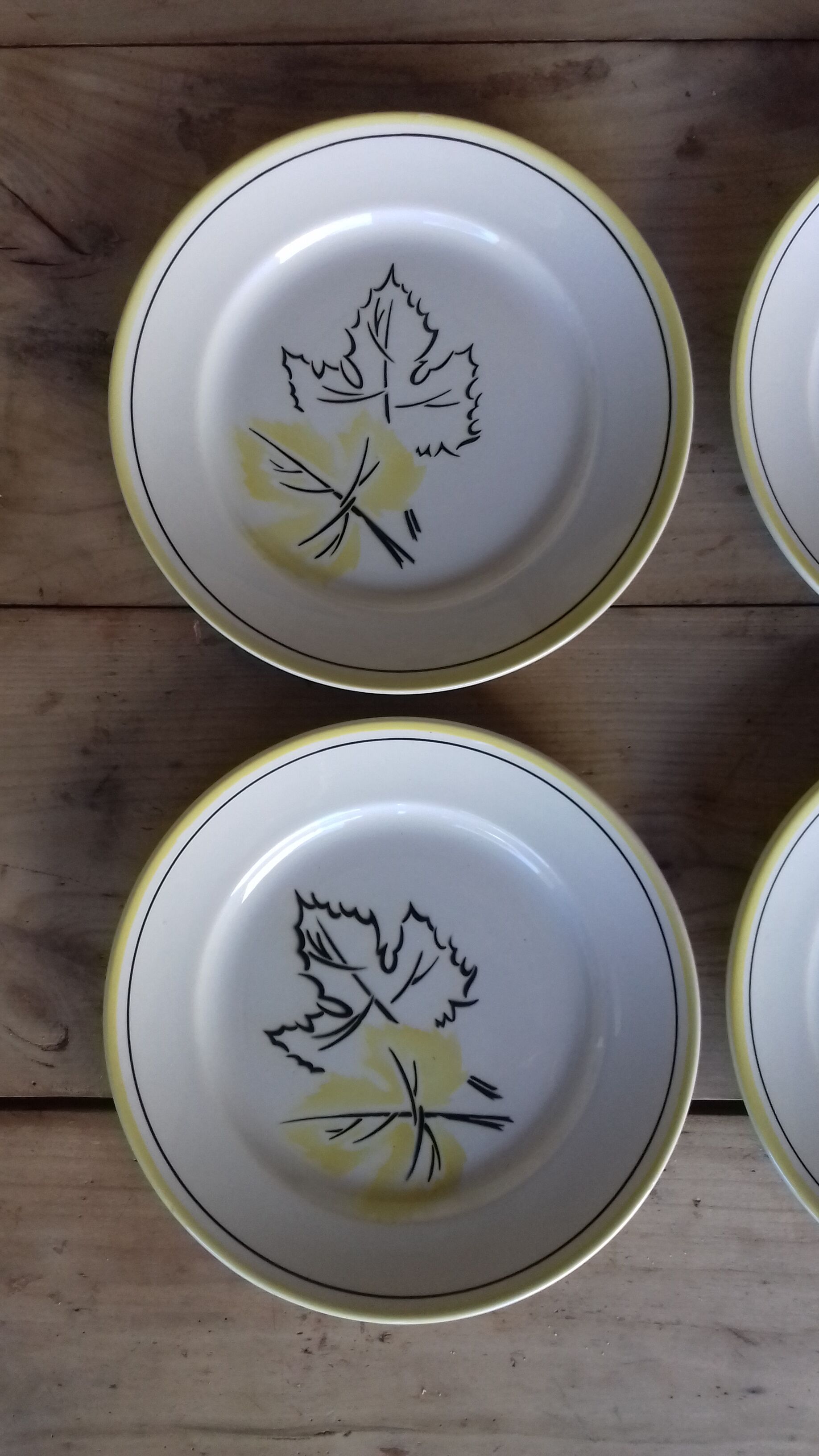 6 flat plates yellow black