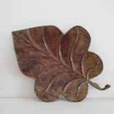 Empty Pocket Big Leaf
