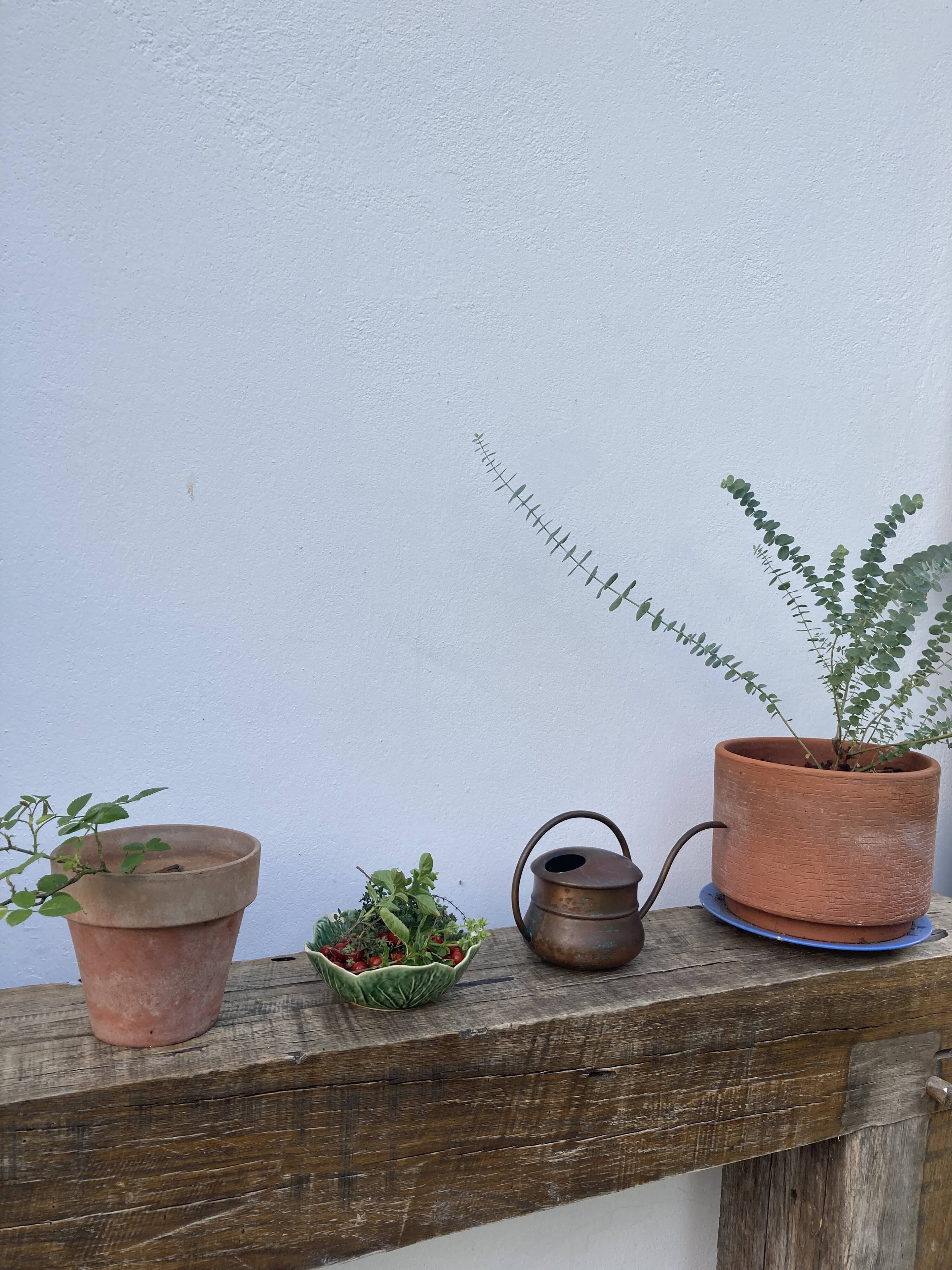 Old vintage copper watering can 1960 / 1970