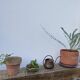 Old vintage copper watering can 1960 / 1970
