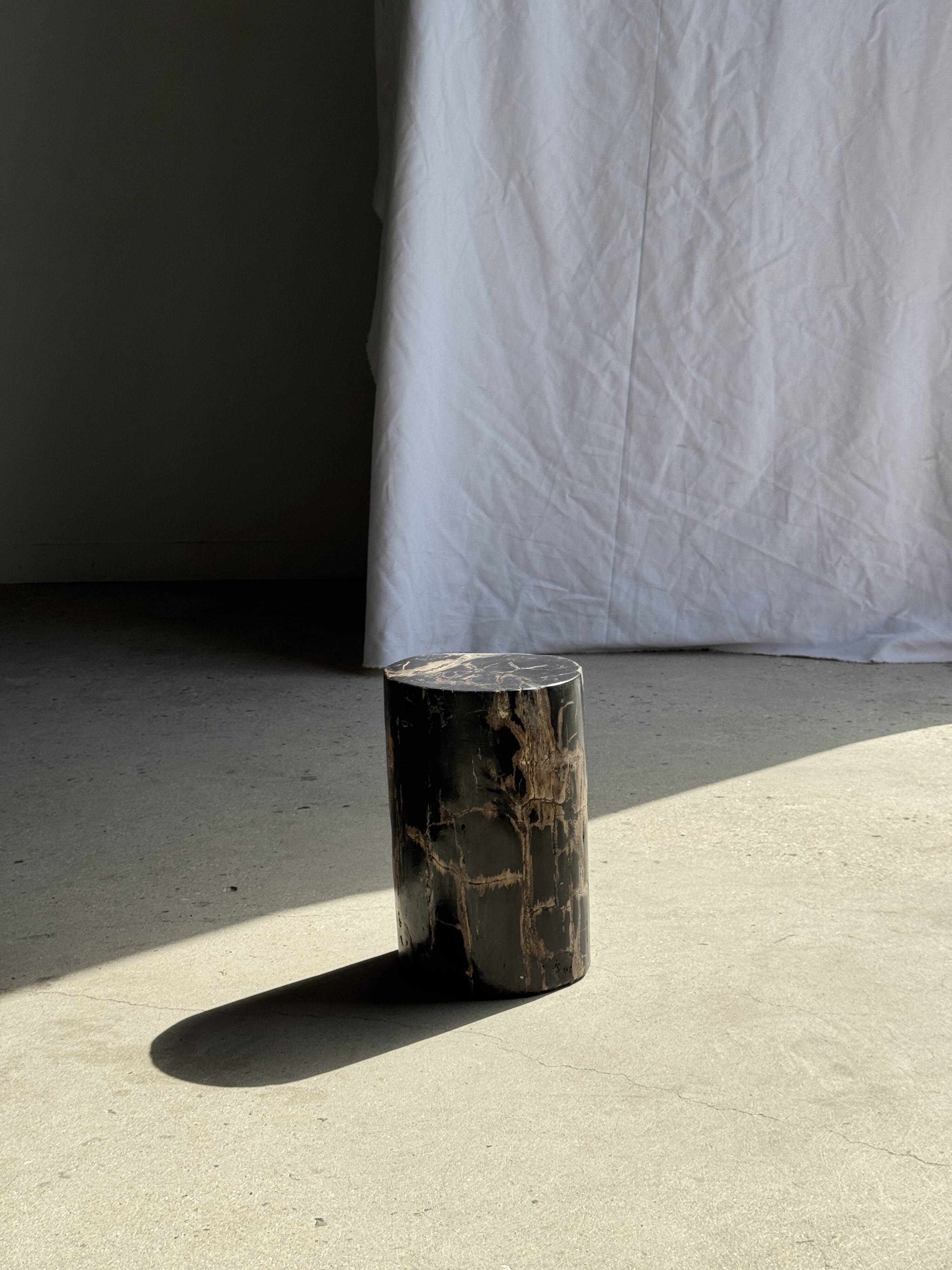 Table d'appoint en bois pétrifié noir