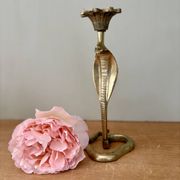 Vintage brass cobra candle holder
