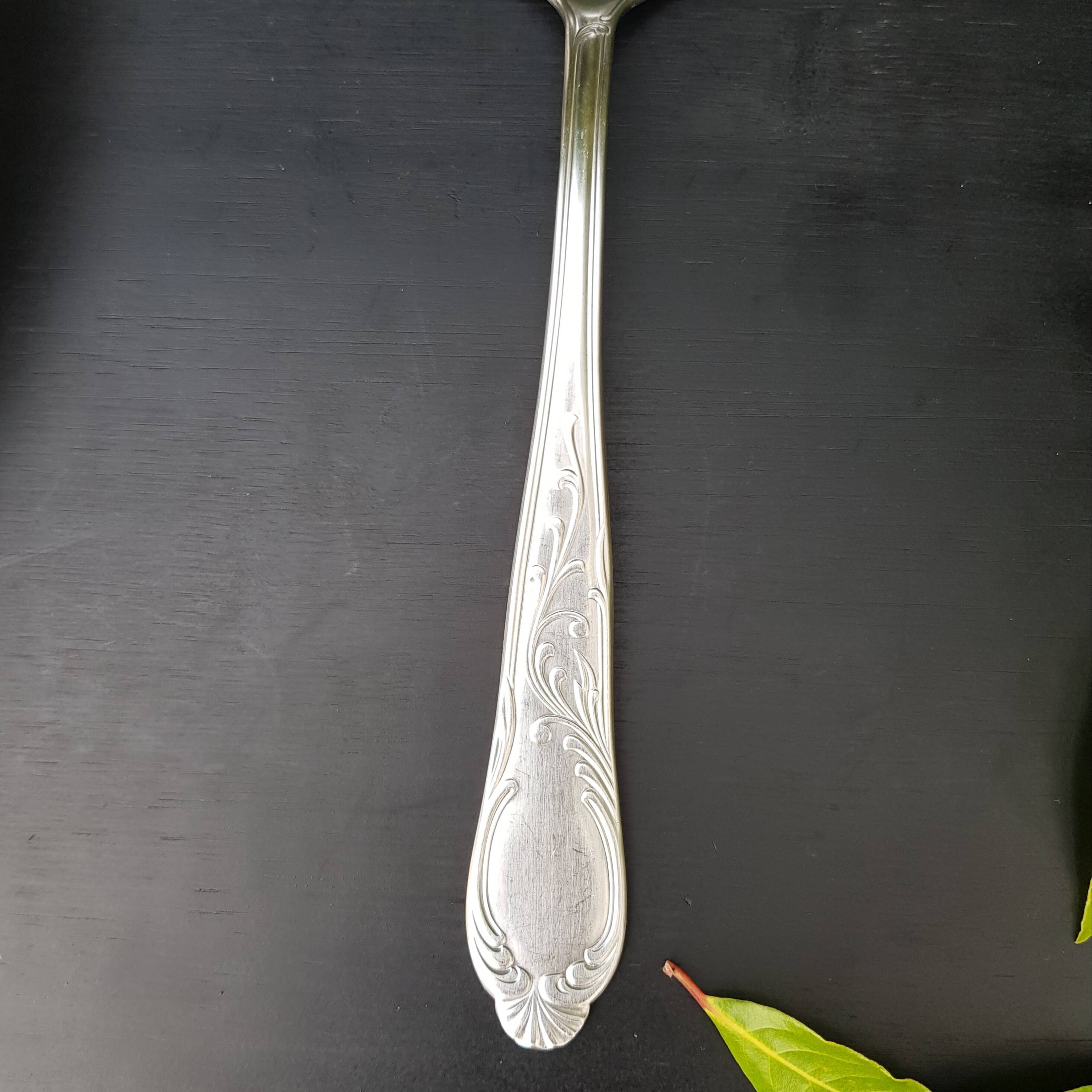 Sauce or dish spoon