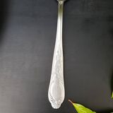 Sauce or dish spoon