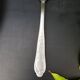 Sauce or dish spoon