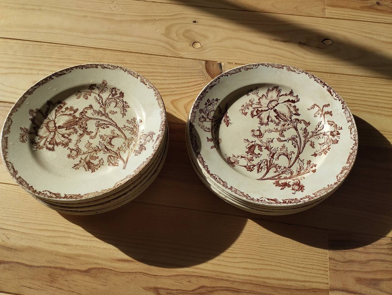 Datura plates iron earth