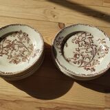 Datura plates iron earth