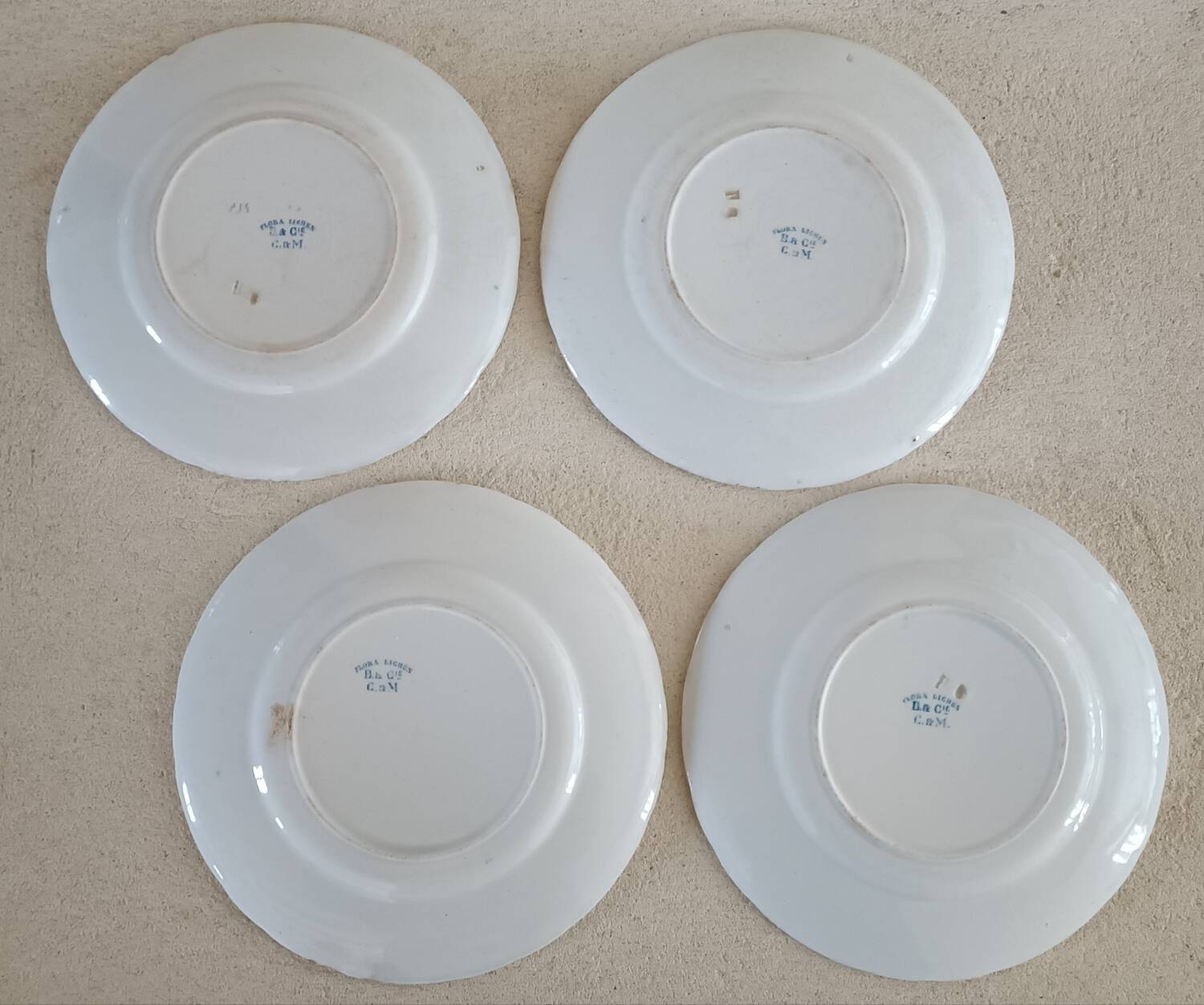 4 assiettes Creil-Montereau modèle Flora Lichen