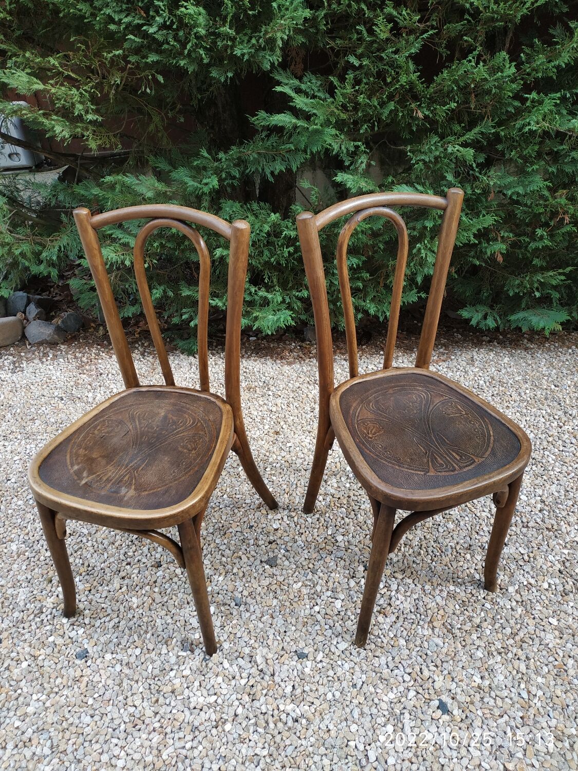 Paire de chaises Baumann