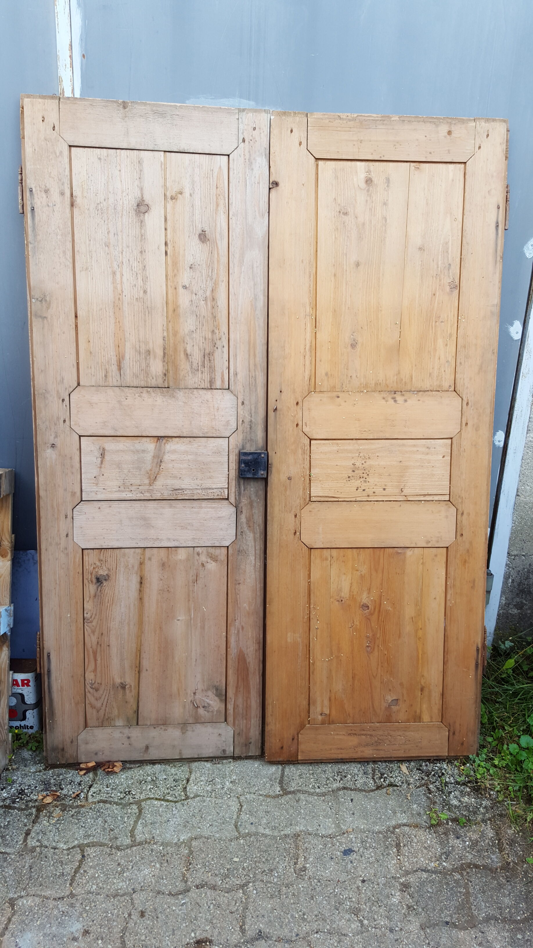 Pair of old doors haired