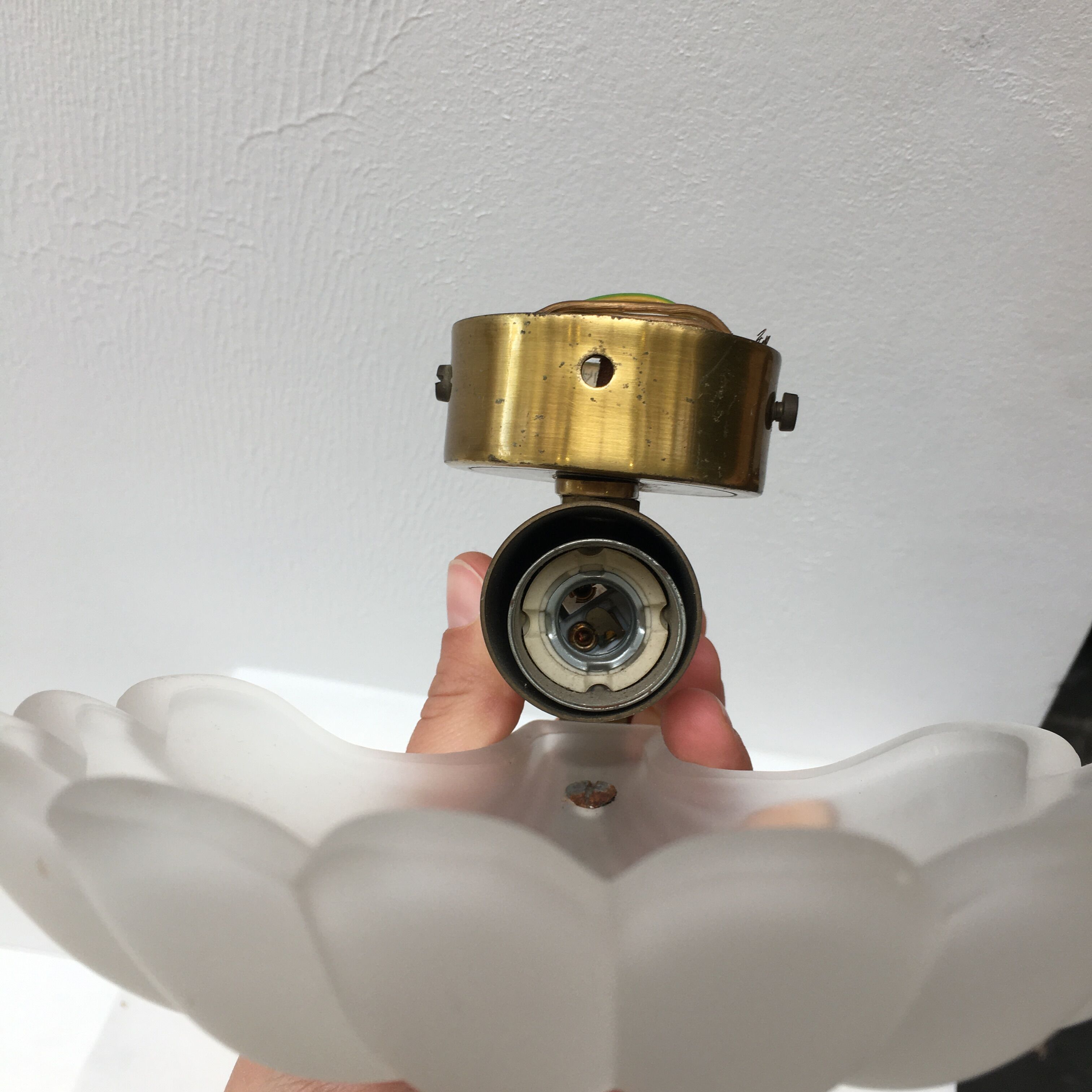 Shell wall lamp 70s Deknudt