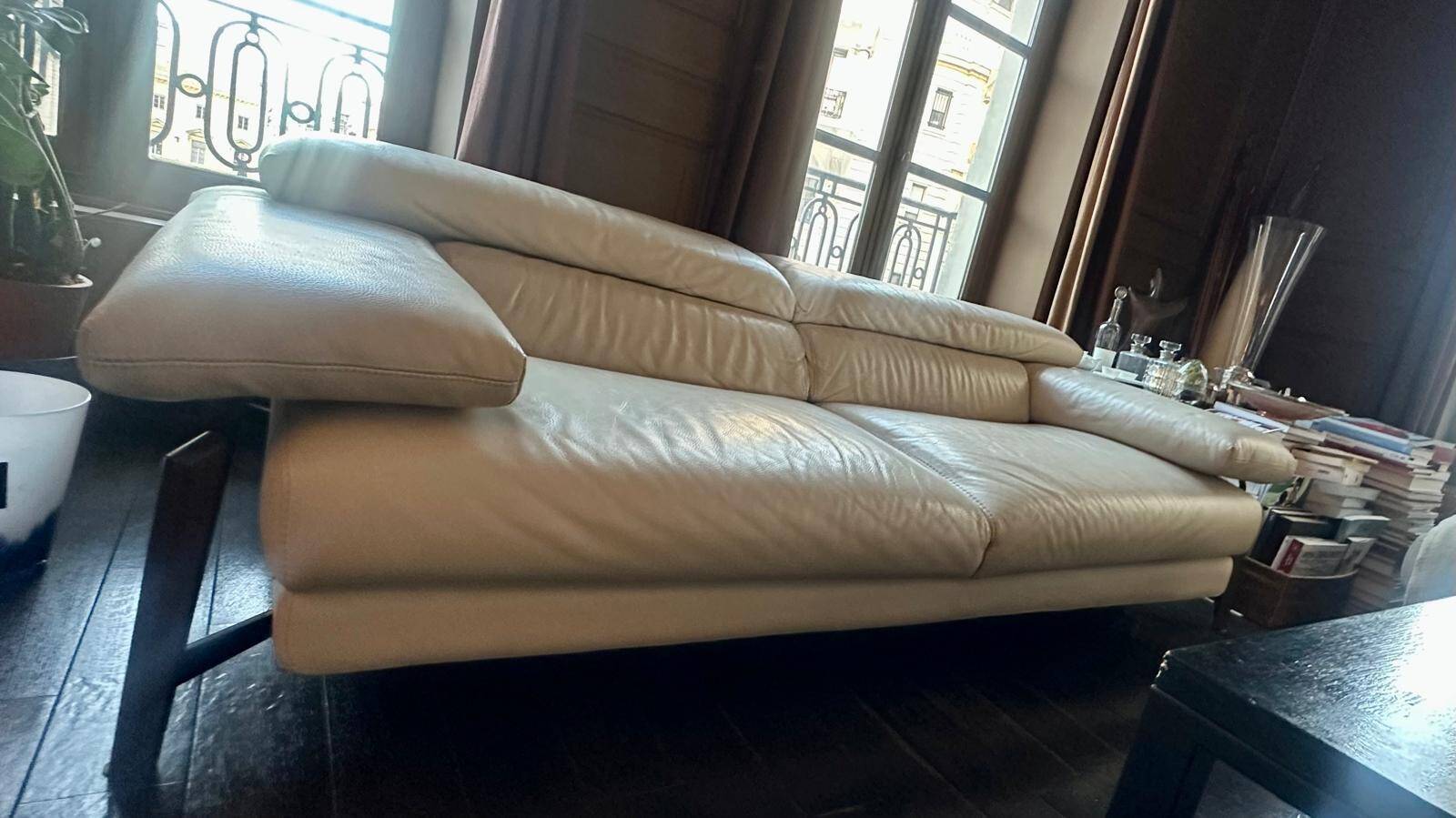 Roche Bobois Sofa