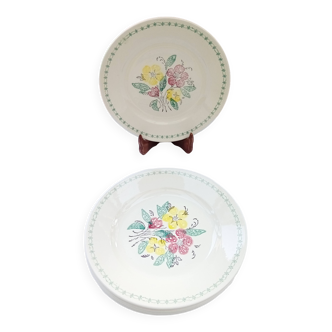 6 old flat plates