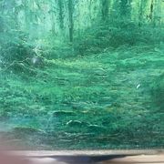 Painting signed Pierre Leishman