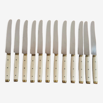 Service de 12 couteaux à dents en bakélite