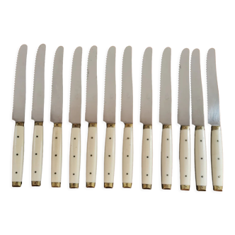 Service of 12 bakelite tooth knives