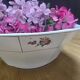 Set of 4 Digoin-Sarreguemines dishes