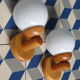 Pair of pine scndivave sconces