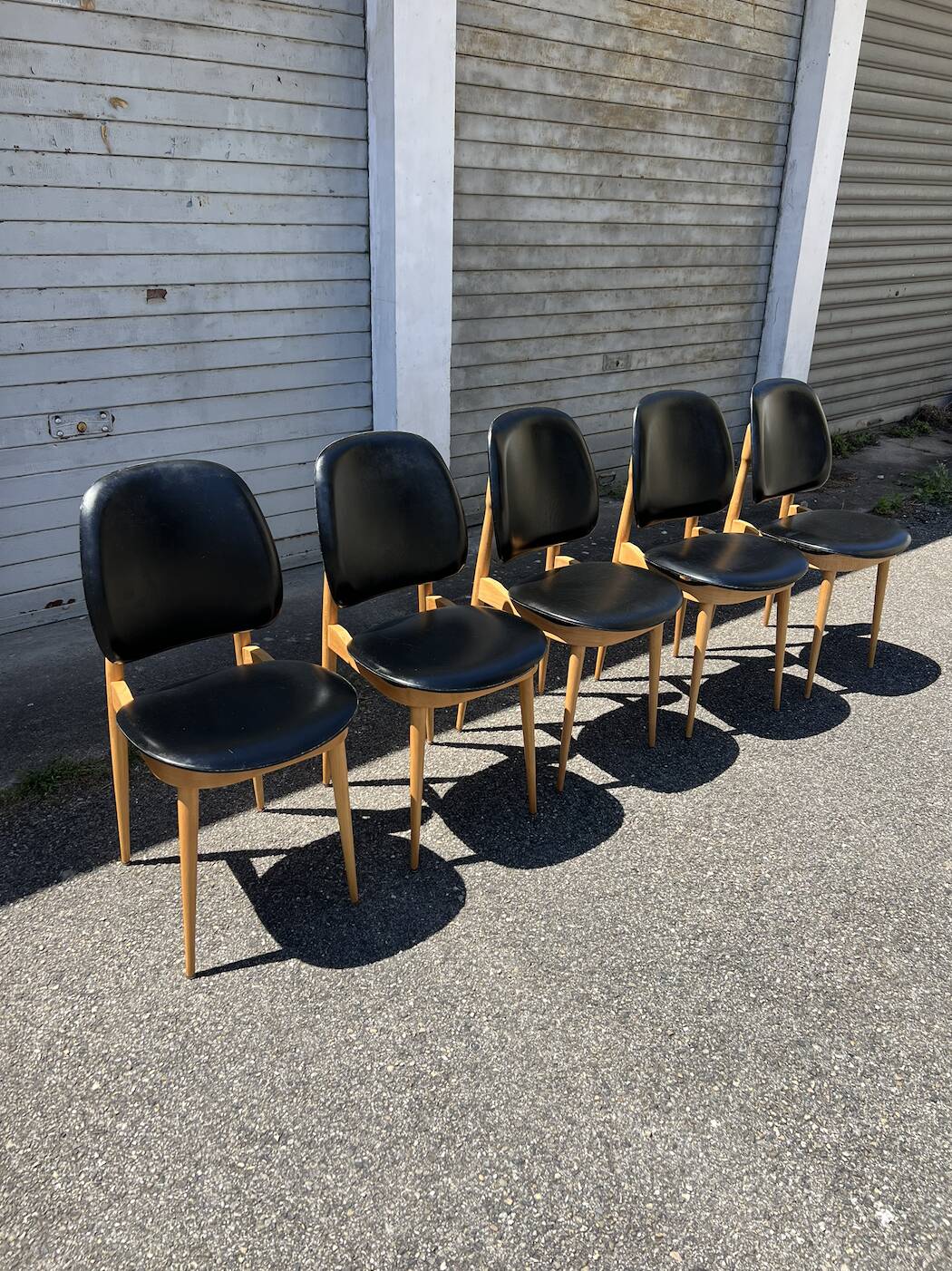 (Lot) 5 Chaises Pégase, Pierre Gurariche pour Baumann