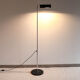 Ernesto Gismondi, Camera Terra lamppost, Artemide, 1980s