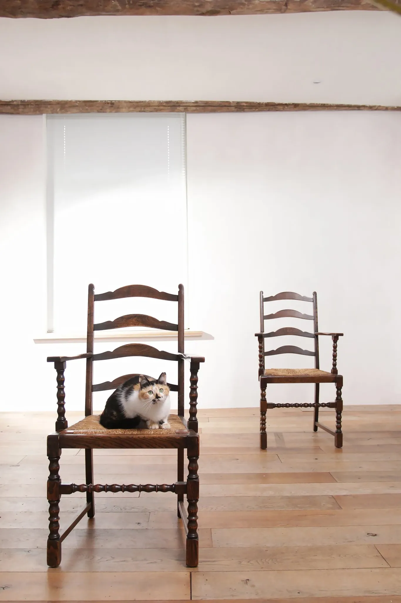 Pair of English oak armchairs with ladder back and rush seats
