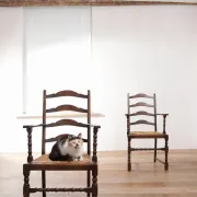Pair of English oak armchairs with ladder back and rush seats