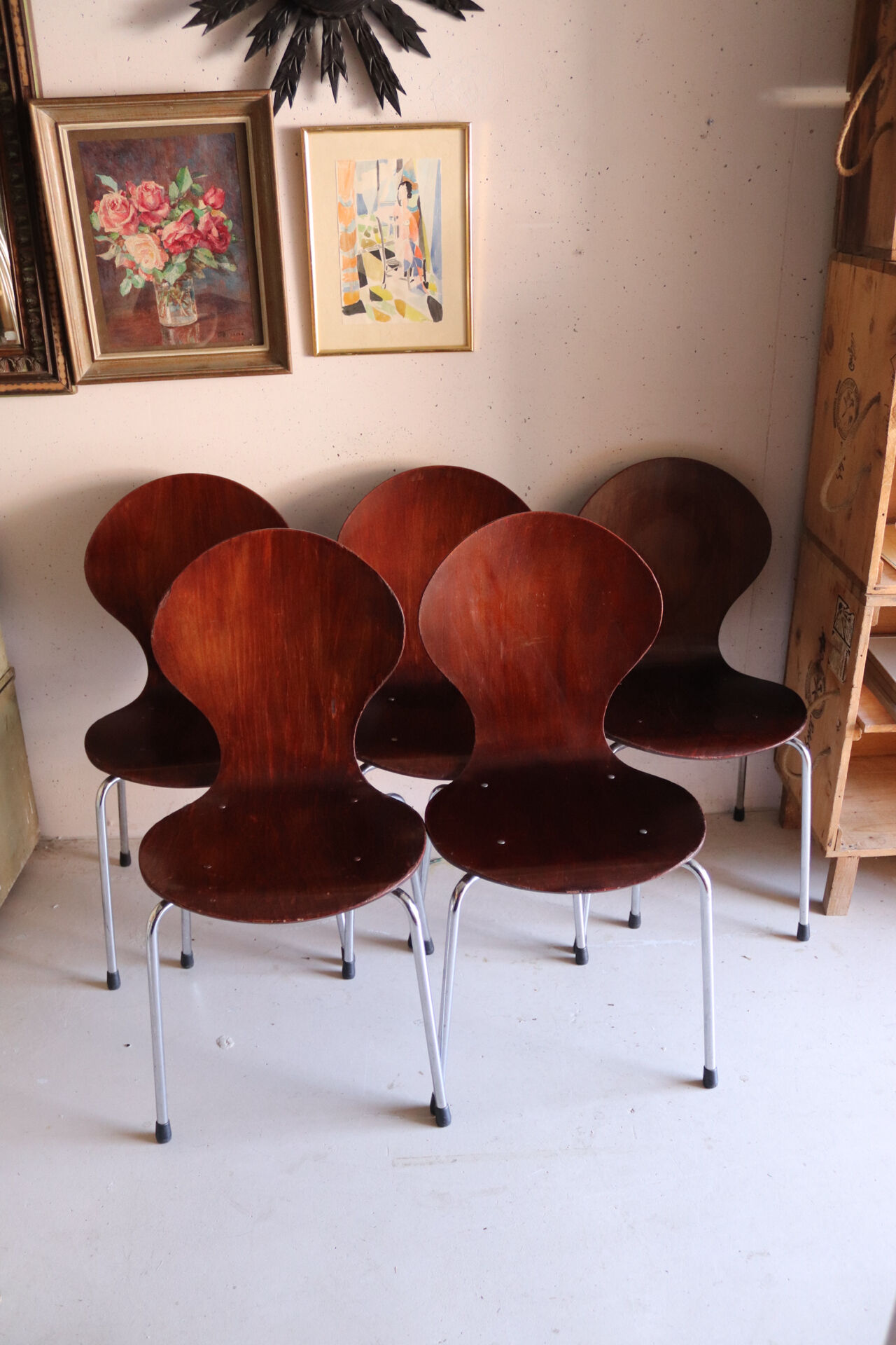 5 chaises style fourmi en contreplaqué moulé et métal chromé, esprit s