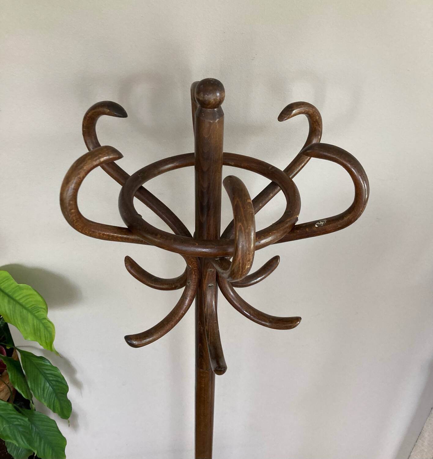 Perroquet coat rack from the mid-20th century (deliverable)