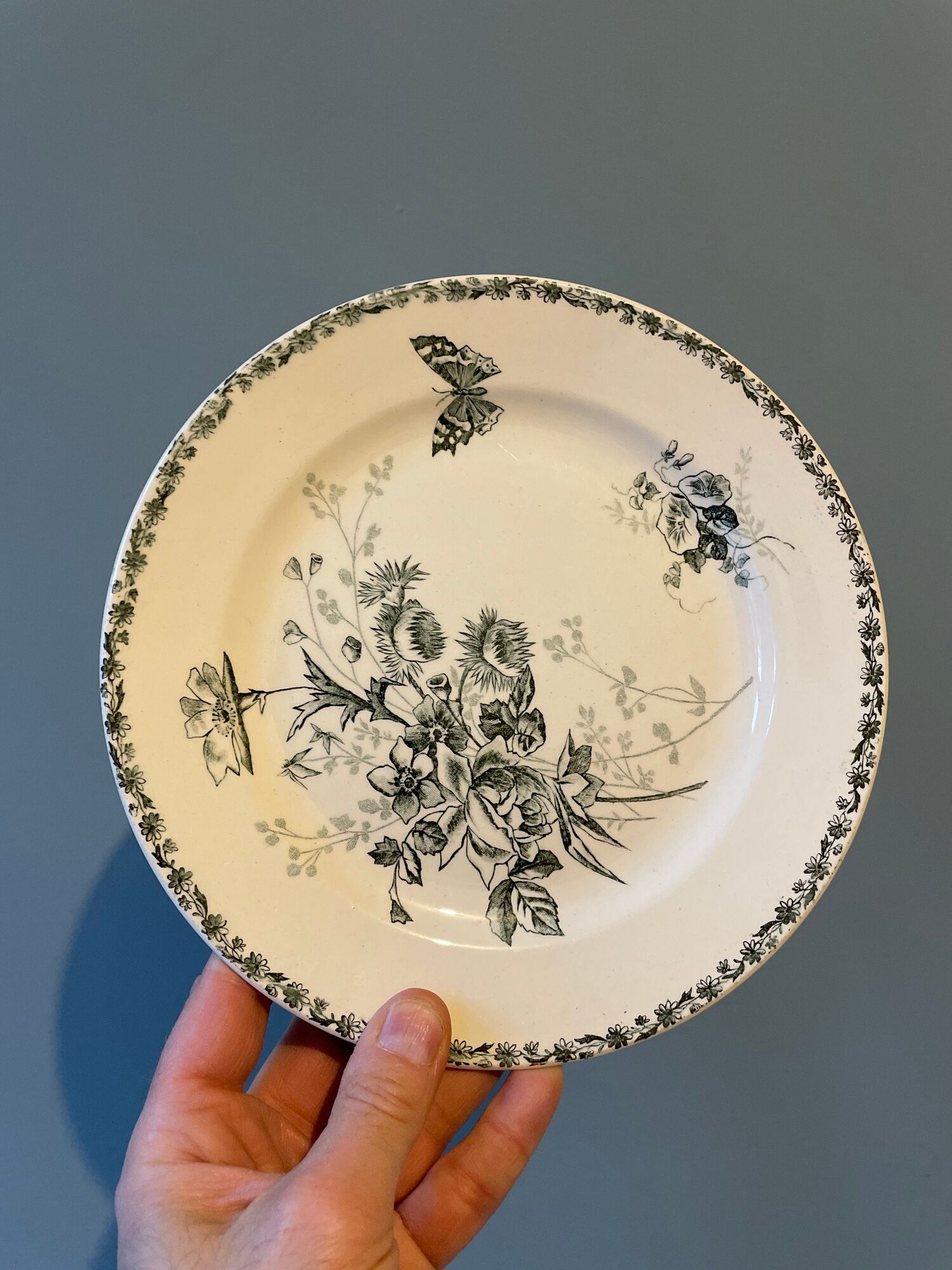Set of 12 Terre de Fer dessert plates Grand Dépôt E.Bourgeois