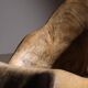 Brutalist Chaise Longue – Lounge Chair in Solid Oak | Germany 1970s