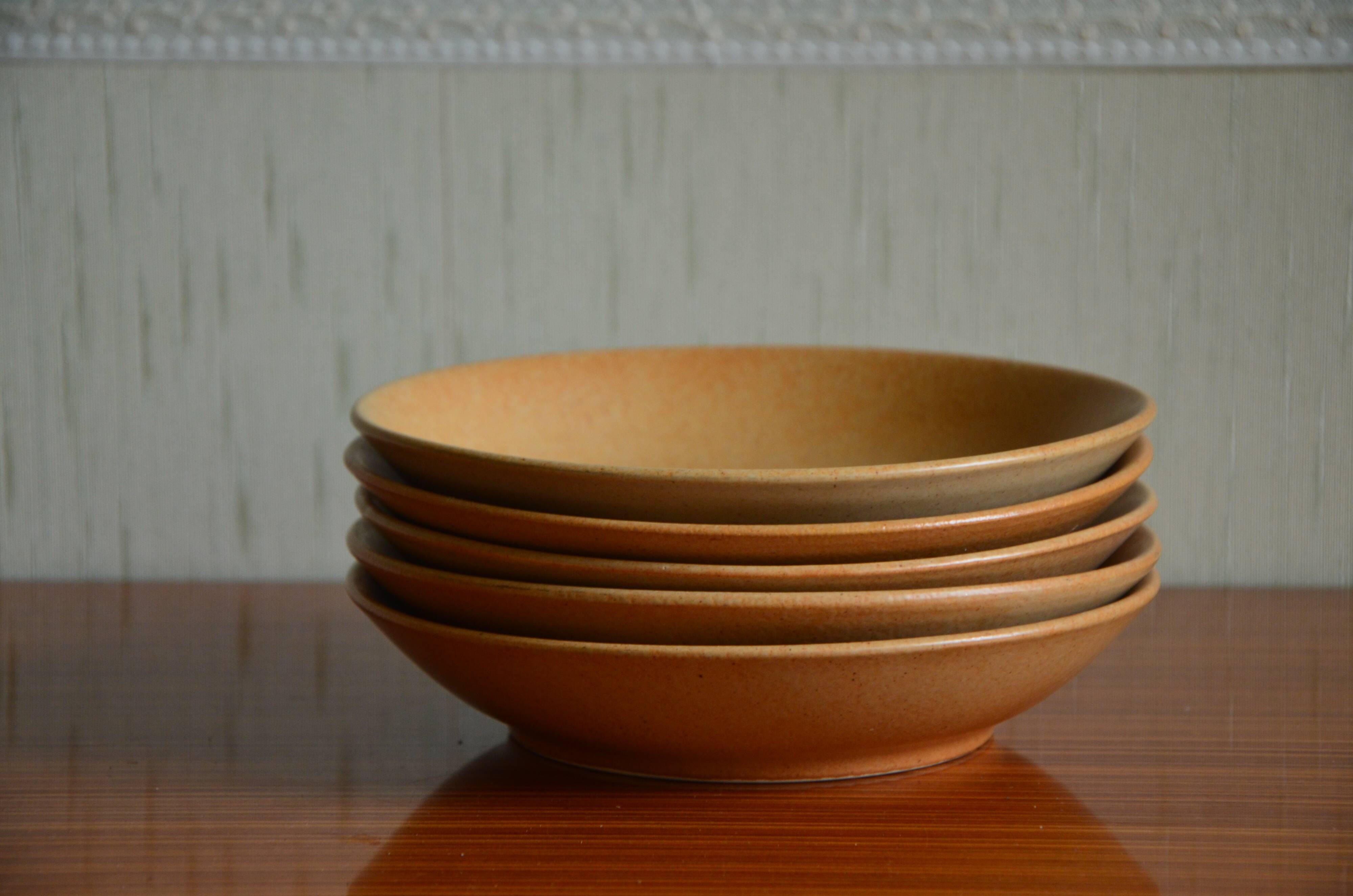 Lot de 5 assiettes creuses en grès