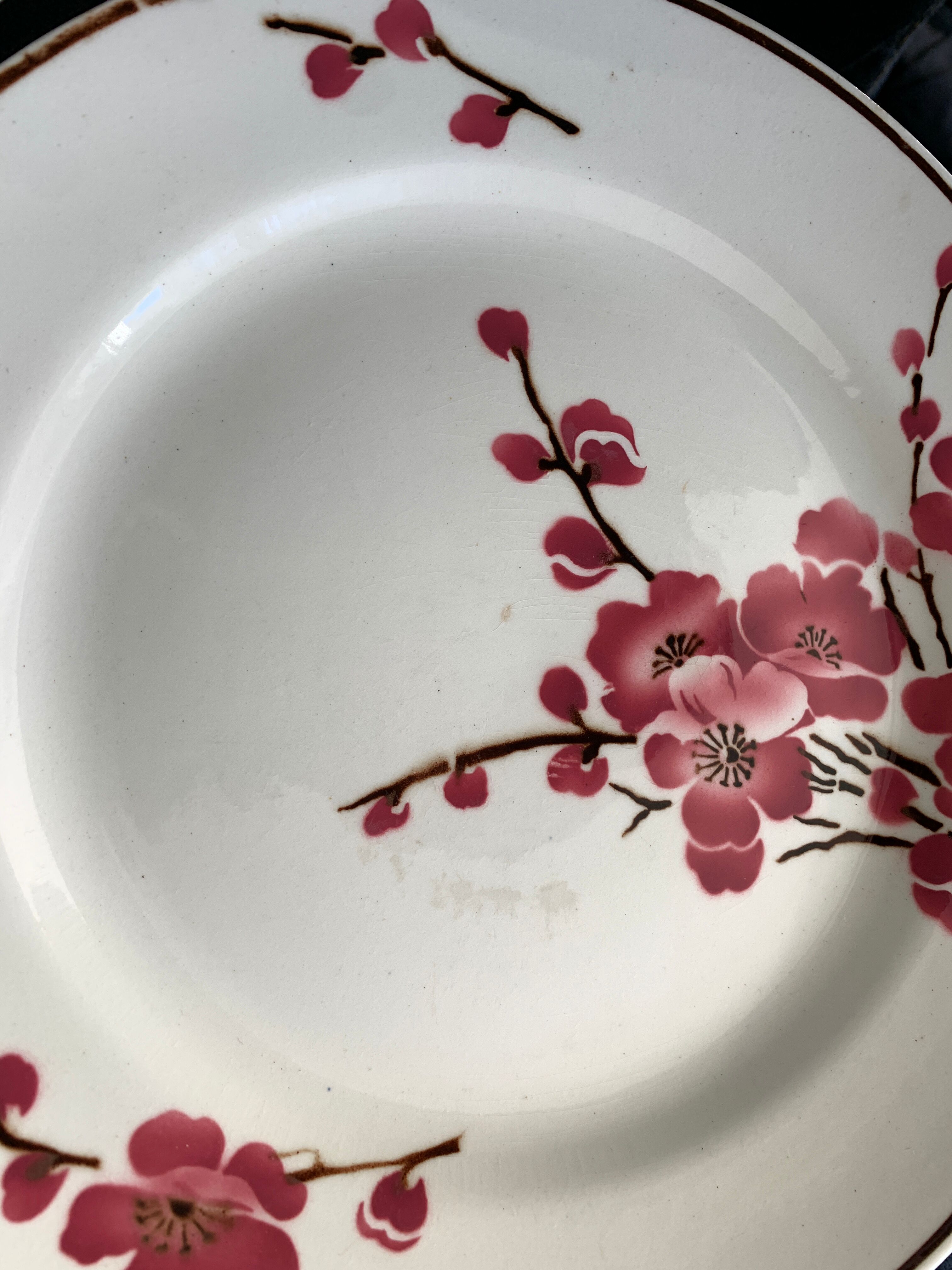 11 dessert plates Saint Amand Terre de Fer, 1930