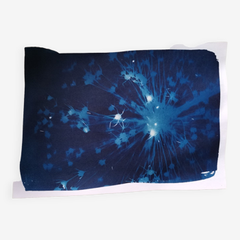 Cyanotype blue vintage fuzzy flower 2