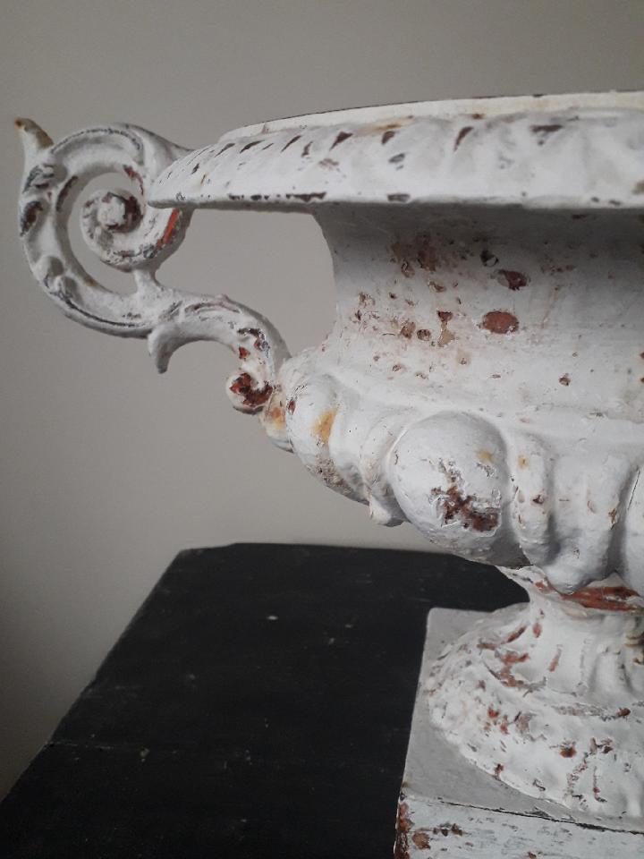 Cauldron Medici cast-iron XIX