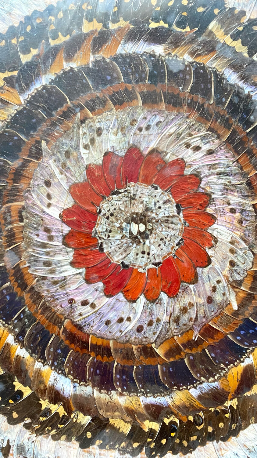 Vintage mosaic frame with butterfly wings