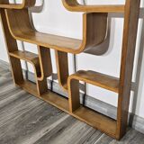 Room Divider by Ludvik Volak for Drevopodnik Holesov, 1950s